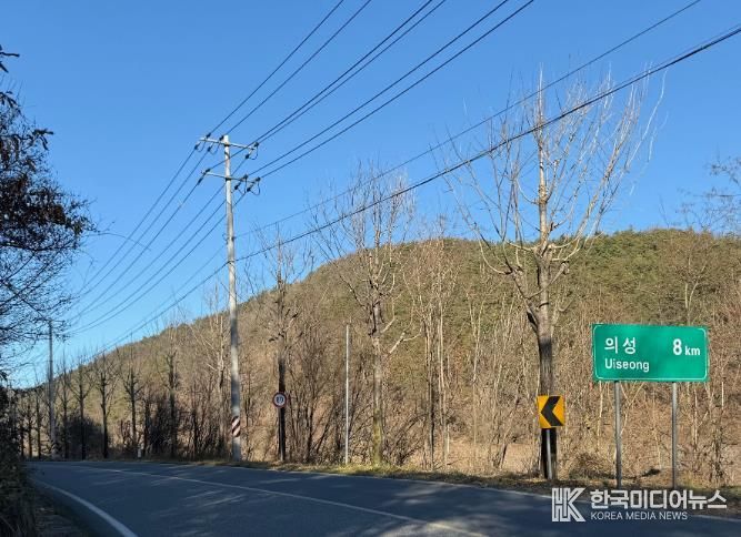 의성군, 주요 시가지 가로수 465본 가지치기 완료