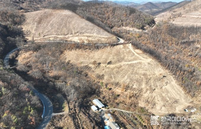 산불피해지 위험목 제거