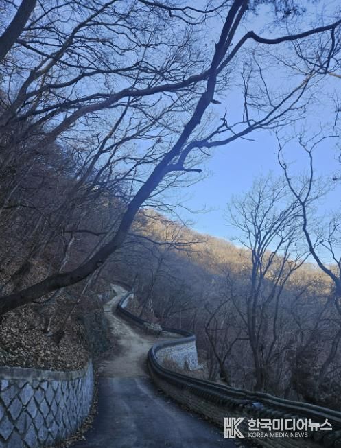 용인특례시가 석성산 숲길 정비사업을 진행한 현장 모습