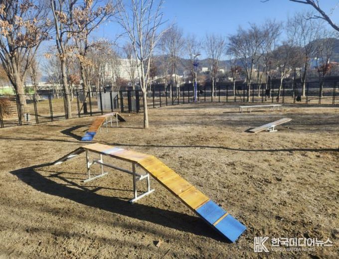 양구군, 반려견과 함께하는 '자연놀이터' 조성 완료