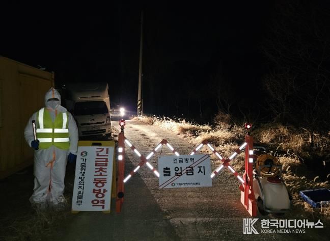 농장 반역 사진