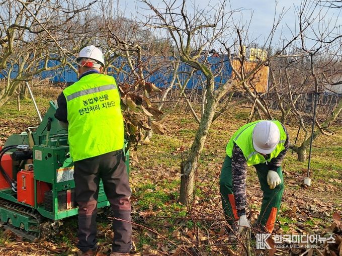 영농부산물 안전처리 지원단 운영 모습