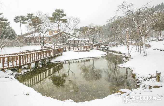광양시 백운산자연휴양림 겨울 웰니스 관광지로 추천 - 관광과(겨울자연휴양림)