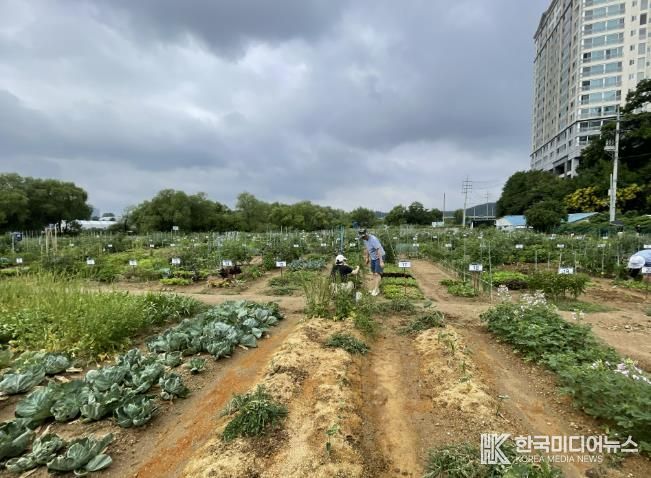 용인특례시는 오는 2월 3일부터 13일까지 용인시민농장에서 텃밭을 가꿀 도시농부 총 815팀을 모집한다