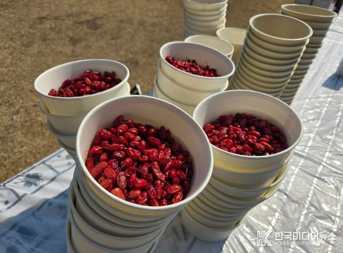 구례산수유꽃축제, 3월 14일부터 22일까지 9일간 개최