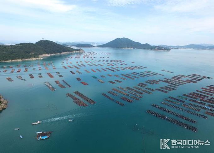 완도 전복 양식장 전경