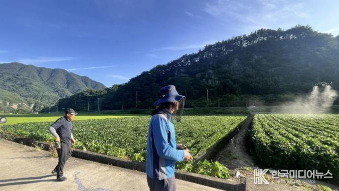 드론을 활용해 방제하는 모습