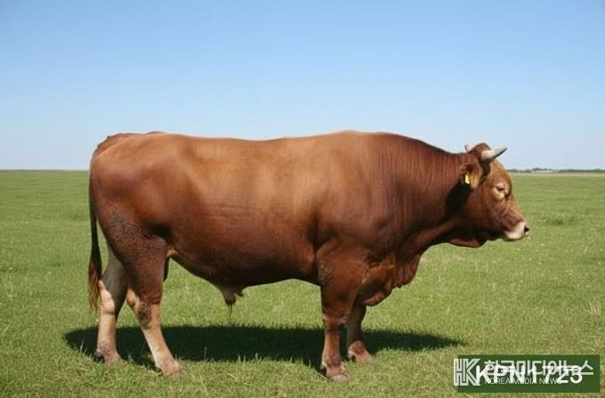 보증씨수소 KPN1723