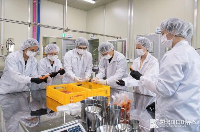 보성군, 농산물종합가공센터 식품 제조형 공유 주방 설명회 개최_2025년 농산물가공 상품개발 사진(스틱젤리)