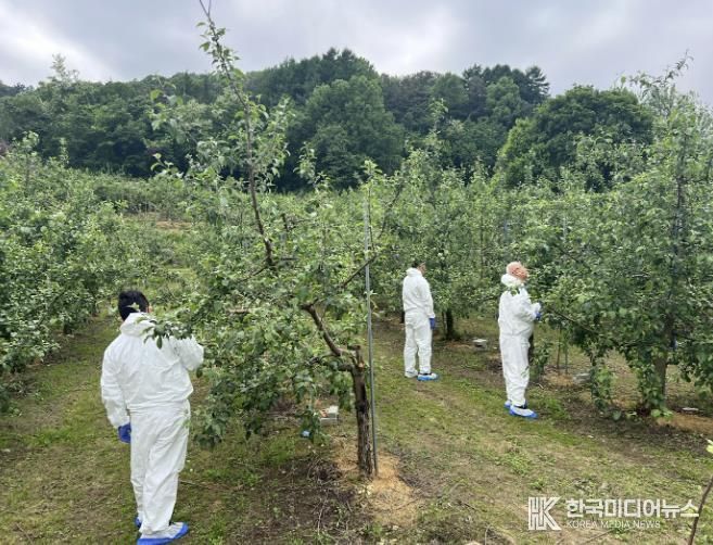 음성군, 과수화상병 사전 예방 집중 기간 운영