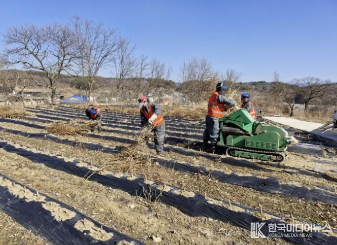 보은군, 영농부산물 안전처리 지원사업 본격 추진
