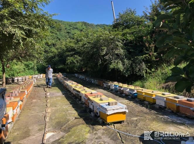 남원시, 양봉산업 활성화를 위한 기자재 지원사업 추진