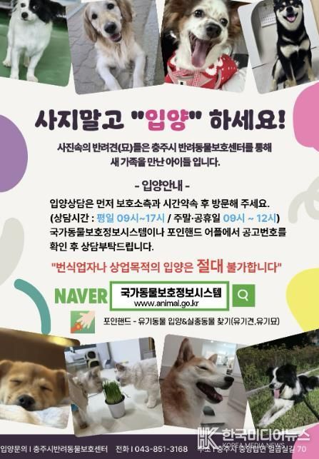 충주시, 유실·유기동물 입양비 지원으로 입양 활성화