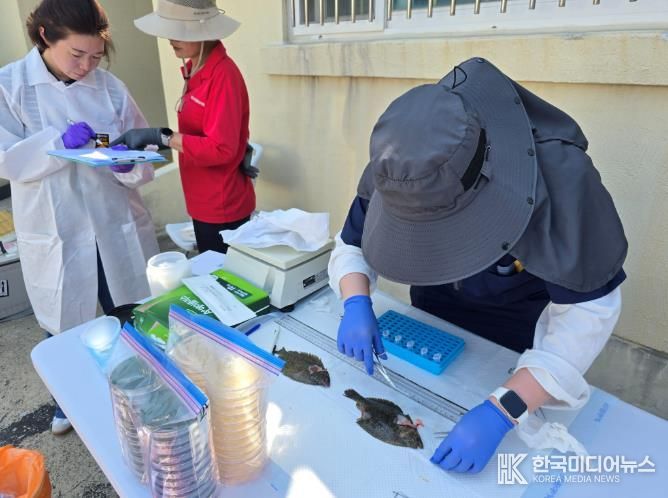 수산생물 질병 예찰·검사 사진 -넙치 질병 검사