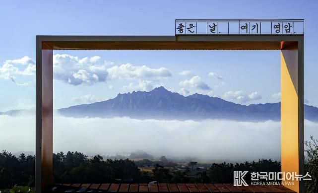 덕진 녹차밭에서 본 월출산 운해