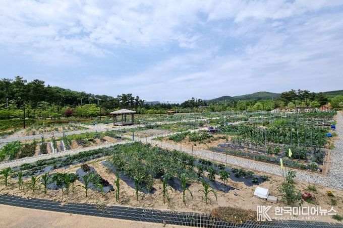 인천중구시설관리공단, 2026년 도시농업활동 참여자 모집