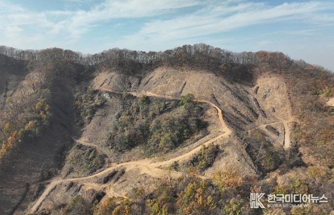 청주시, 수림대 남기는 친환경 목재 생산시 지원금 지급