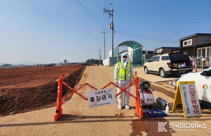 아프리카돼지열병 방역 현장
