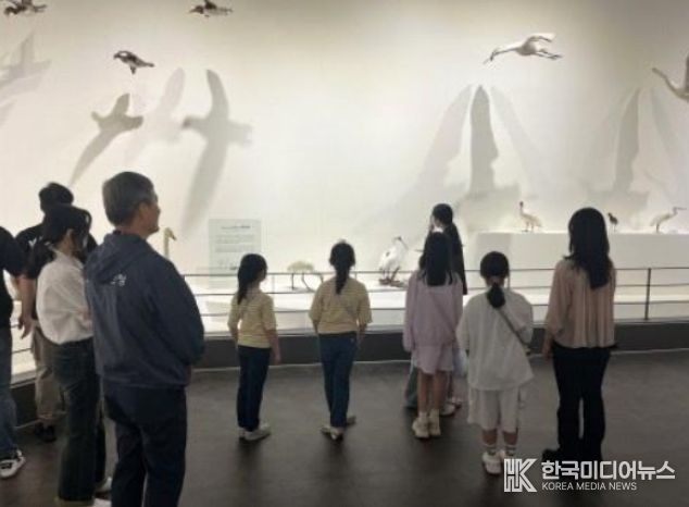 자유대전 멘토링 프로그램