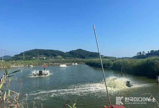 영광군, 수산양식생물 입식‧출하‧판매 신고 이행 당부