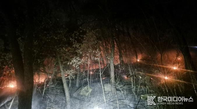 산불 발생 사진