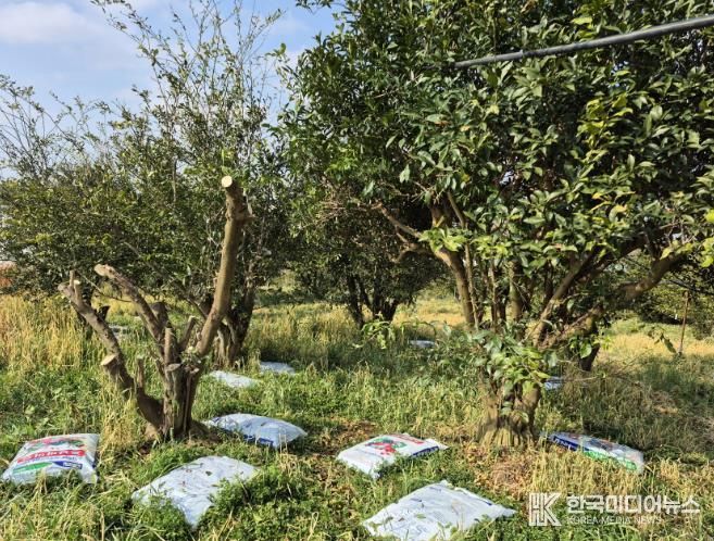 고흥군, 죽어가는 과수 원인진단 서비스 신청 접수