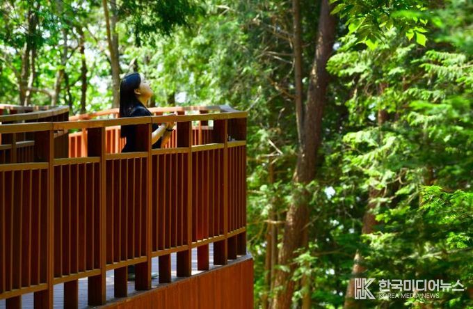 장성 축령산 하늘숲길을 찾은 관광객.