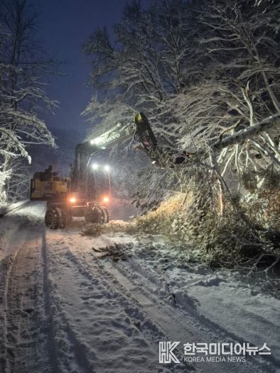 평창군, 대관령 39.2cm 폭설 완벽 대응