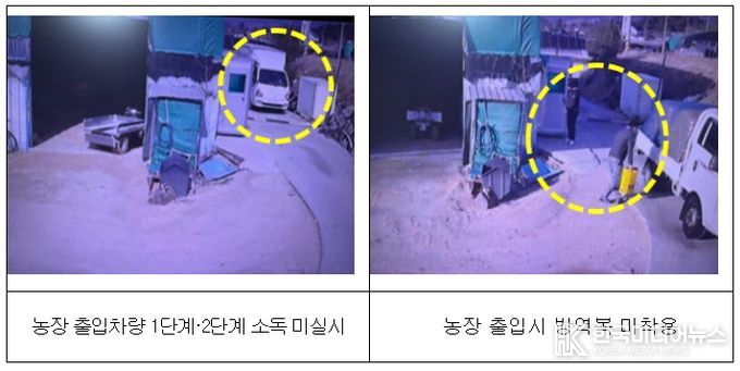 소독 미실시 및 농장 출입자 방역관리 미흡