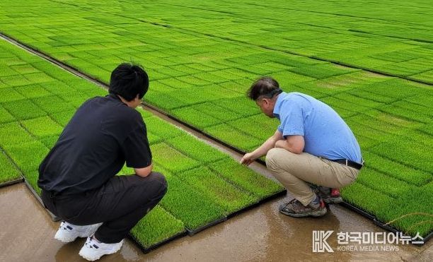 영광군, 벼 안전육묘 현장 기술지원 본격 추진