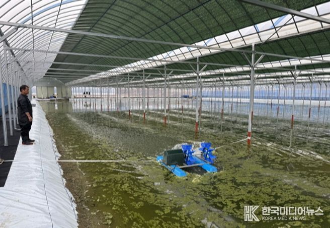 어업인 생산기반(양식장) 조성 현황