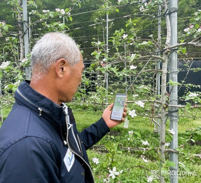 310농가 231헥타르 규모 약제 지원