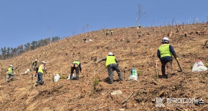 창원특례시, 조림‧숲가꾸기 사업으로 건강한 산림 조성