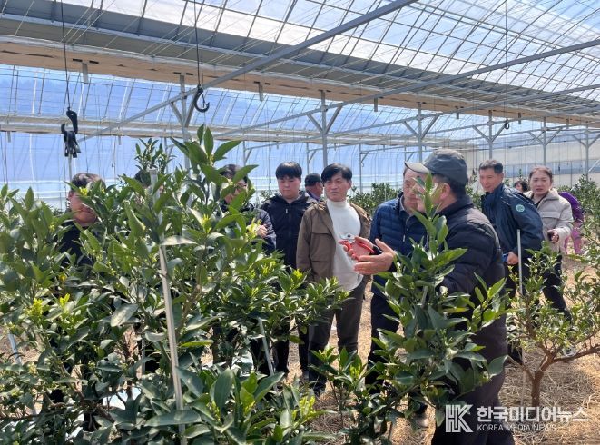 만감류 재배 현장 컨설팅