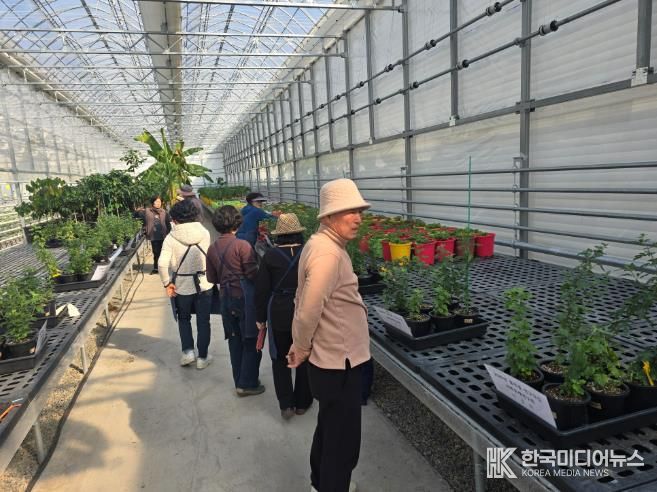 인제군 국화분재연구회, 품종별 연구·교류로 전문성 다진다