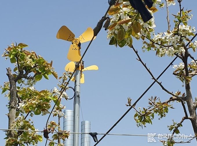 저온서리피해를 예방하기 위해 설치된 방상팬.