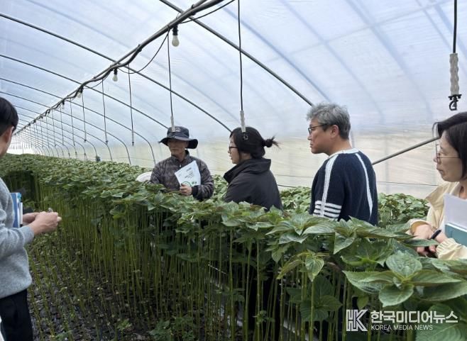 진안군, 수경재배 잎들깨 고품질 생산 현장컨설팅 추진