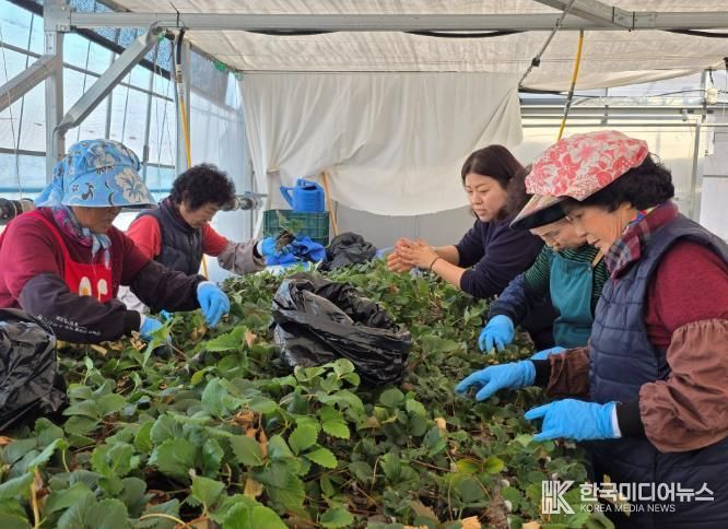 여성농업인 활동 사진