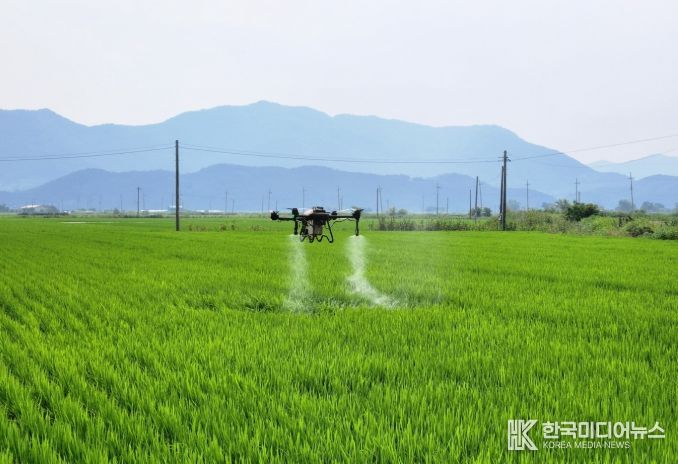 벼 병해충 공동 항공방제 지원 사업 신청 접수