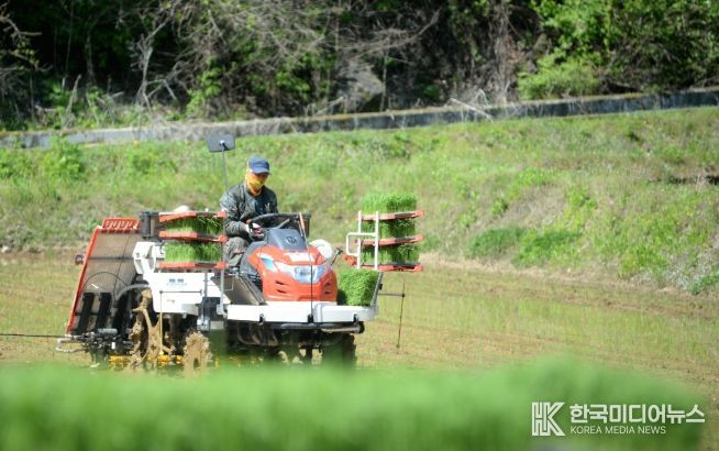 화천군이 지역 농가를 대상으로 농기계 수리 후 발생하는 폐유 수거 사업을 실시한다. 사진은 화천지역에서 이앙기 농기계로 모내기를 하고 있는 모습