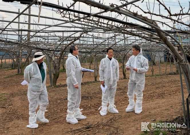 배 냉해 예방 현장점검