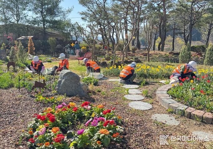 합천군, 봄맞이 녹지공간 정비‘박차’…도심 곳곳 생기 더한다