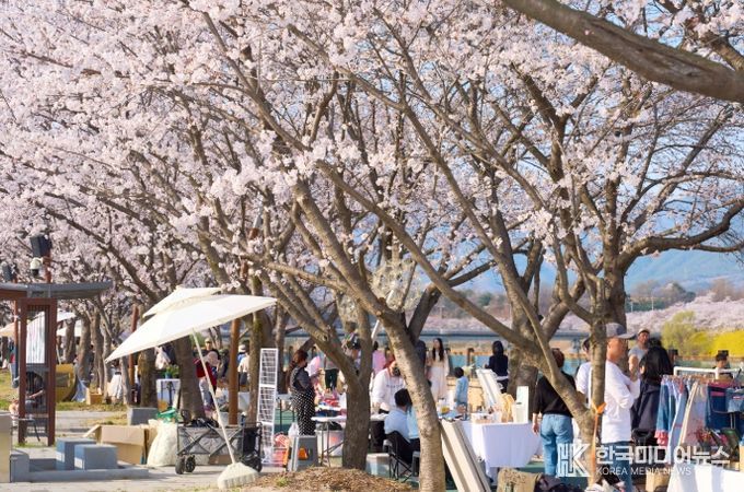 100만이 찾은 봄, 3색 봄꽃의 도시 구례