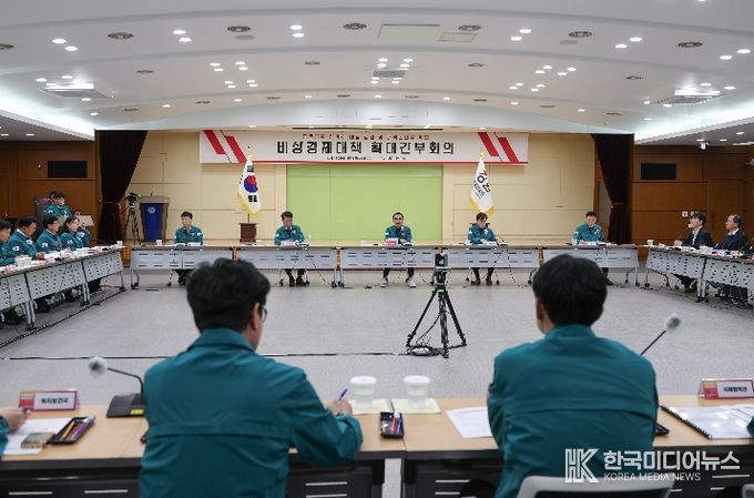 오후 3시, 별관 대회의실, 비상경제 점검 및 분야별 대책방안 논의