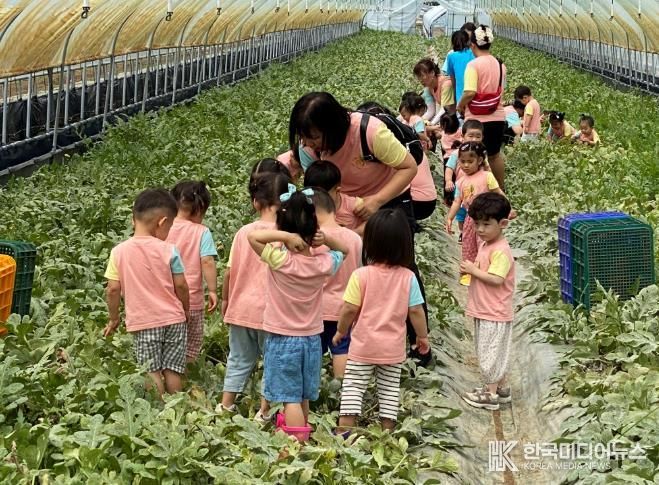 농촌체험휴양마을 사진(수박 수확 체험)