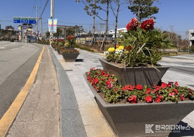 익산시, 도심 곳곳 _봄꽃 물결_(익산세무서 일원).