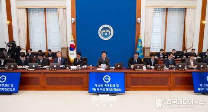 제16회 국무회의 겸 제5차 비상경제점검회의(청와대)