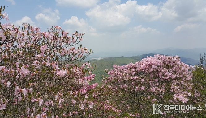 ‘제18회 화학산 고산 철쭉제’ 개최