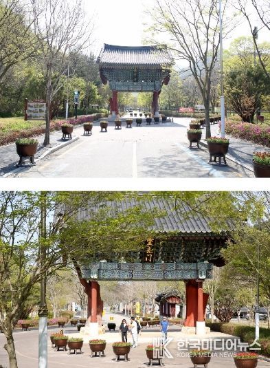 버베나, 불갑사 일주문이 꽃길