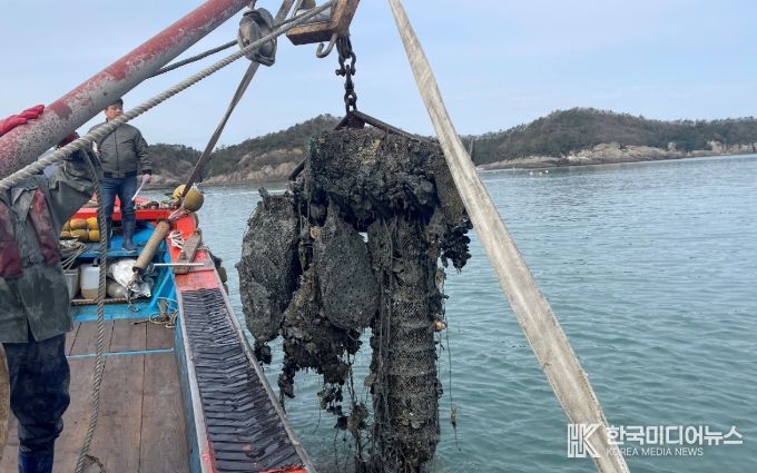 고흥군, 50억 규모 청정어장 재생사업 선정